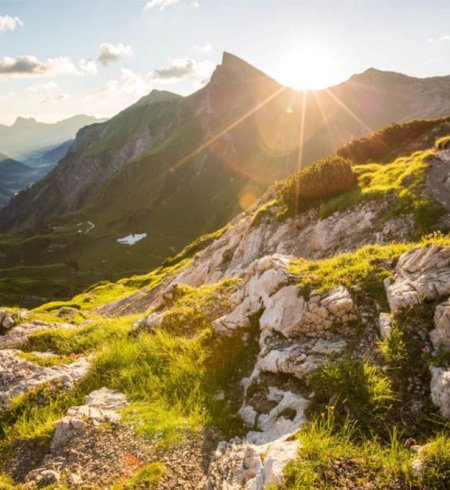 Sonnenaufgang über einer alpinen Berglandschaft mit grünen Wiesen und Felsen.