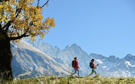 Zwei Wanderinnen mit Rucksack und Stöcken vor herbstlichem Baum und Bergkulisse.