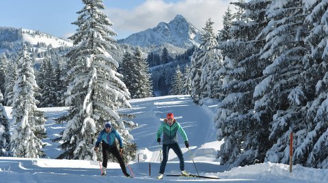 Zwei Langläufer auf verschneitem Terrain, umgeben von verschneiten Bäumen und Bergen.