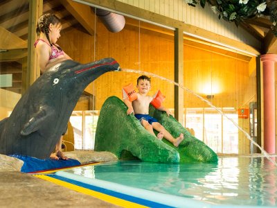 Kinder spielen in einem Schwimmbecken mit einem Delfin-Wasserspielzeug.