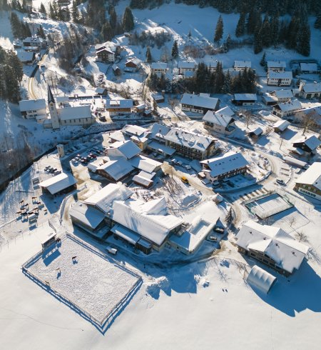 Das Bild zeigt ein verschneites Dorf in den Bergen mit mehreren Häusern und Bäumen.