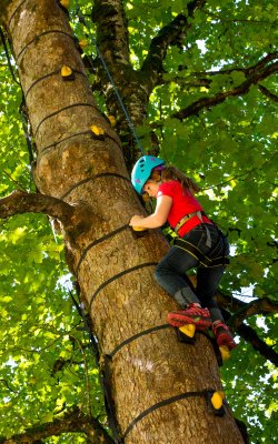 Ein Mädchen klettert an einem Baum in einem Kletterpark.