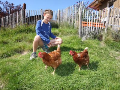 Mädchen sitzt mit zwei Hühnern auf einer grünen Wiese.