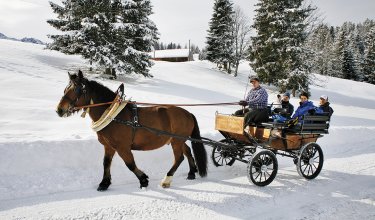 Eine Kutsche mit mehreren Personen wird von einem Pferd durch den Schnee gezogen.