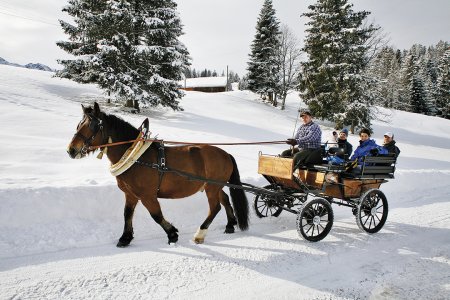 Eine Kutsche mit mehreren Personen wird von einem Pferd durch den Schnee gezogen.