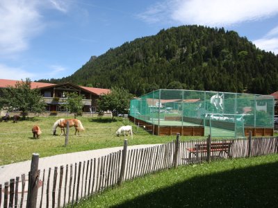 Das Bild zeigt ein Gelände mit Pferden, einem Netzplatz und einem Gebäude im Hintergrund.