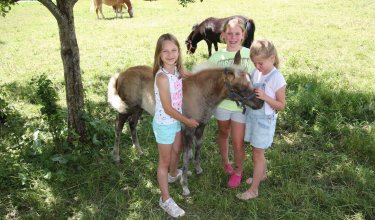 Drei Kinder stehen mit einem Pony unter einem Baum.