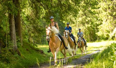 Reitergruppe auf Pferden, die einen Waldweg entlang reitet.