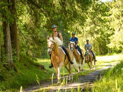 Reitergruppe auf Pferden, die einen Waldweg entlang reitet.