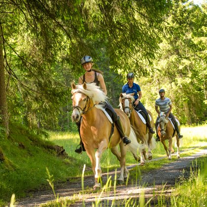 Reitergruppe auf Pferden, die einen Waldweg entlang reitet.