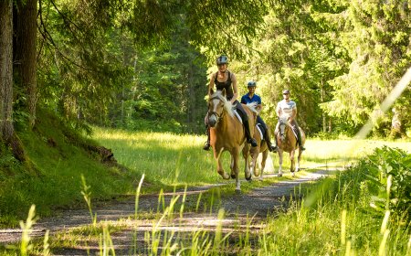 Reitergruppe auf Pferden, die einen Waldweg entlang reitet.