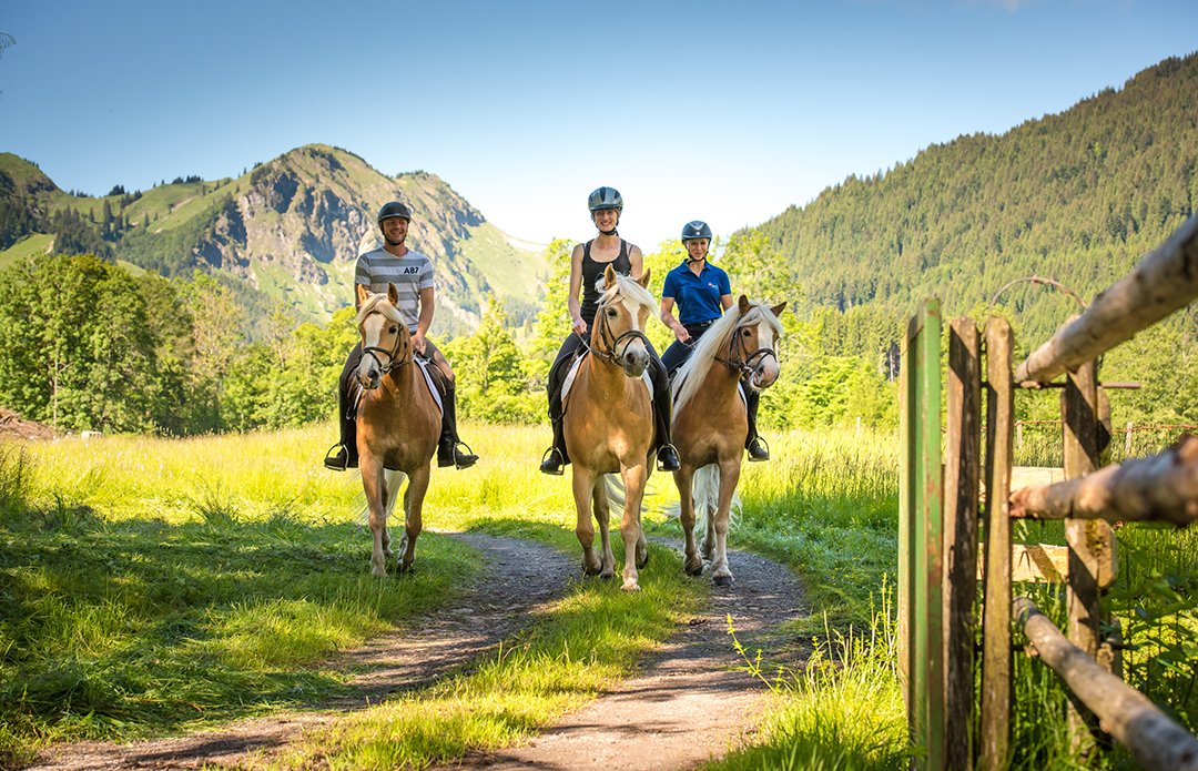 Drei Reiter auf Pferden, die einen grünen Weg entlang reiten.