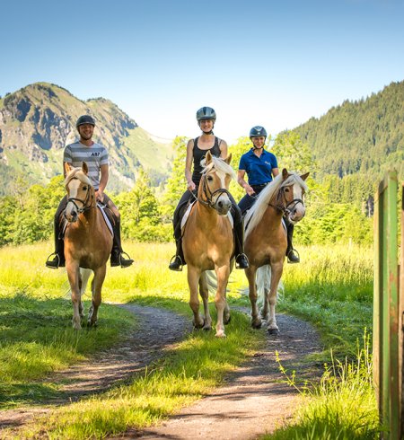 Drei Reiter auf Pferden, die einen grünen Weg entlang reiten.