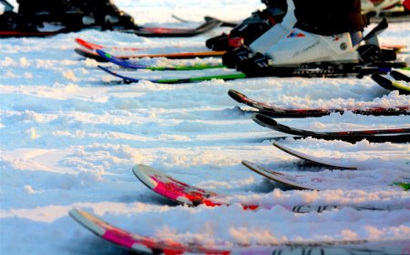 Mehrere bunte Skier mit Bindungen nebeneinander im Schnee