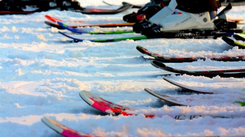 Mehrere bunte Skier mit Bindungen nebeneinander im Schnee
